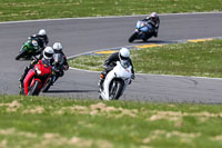 anglesey-no-limits-trackday;anglesey-photographs;anglesey-trackday-photographs;enduro-digital-images;event-digital-images;eventdigitalimages;no-limits-trackdays;peter-wileman-photography;racing-digital-images;trac-mon;trackday-digital-images;trackday-photos;ty-croes